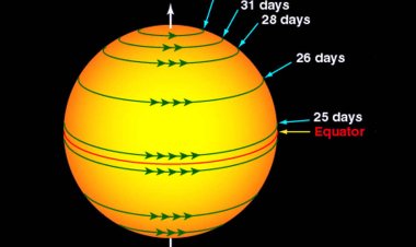 Күн өз өсін айнала ма?