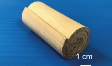 Болаттан берік ағаш жасалды