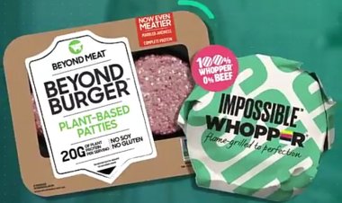 Жасанды ет жайлы білесіз бе?