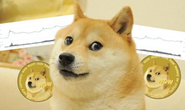 Crypto Миллиярдерлер