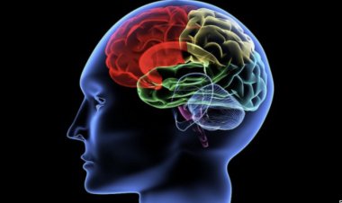 Адам миы жобасы сәтті жасалды